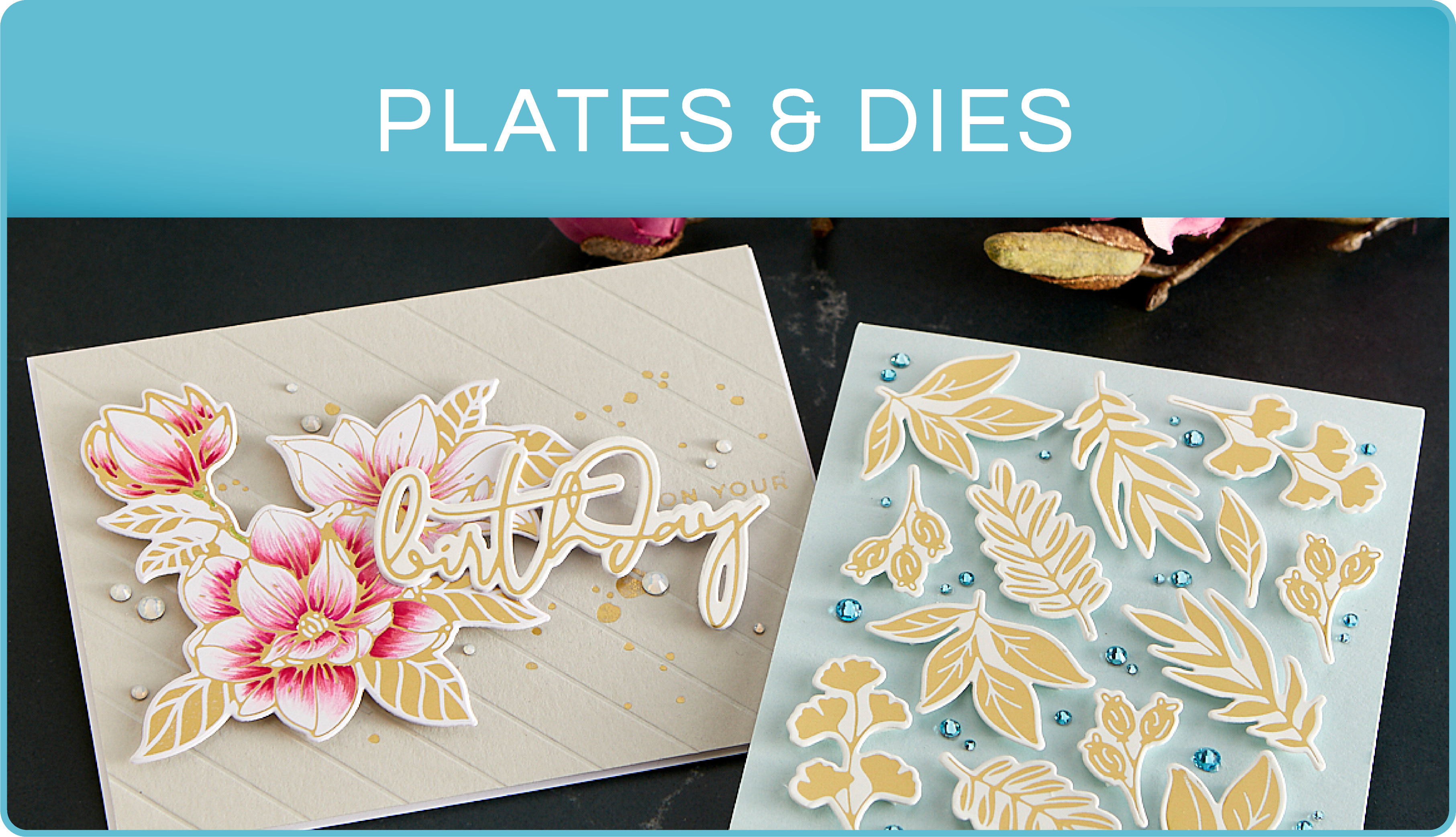 Plates & Acessories