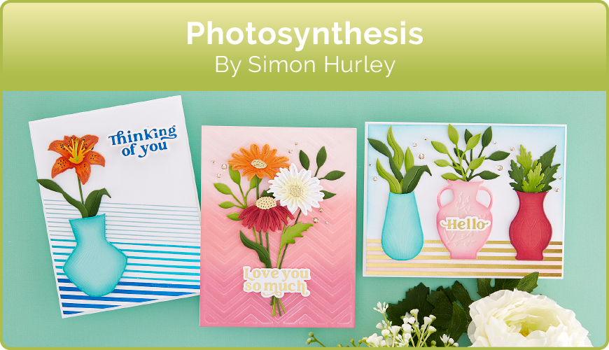 Photosynthesis by Simon Hurley