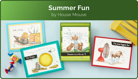 House-Mouse Summer Fun