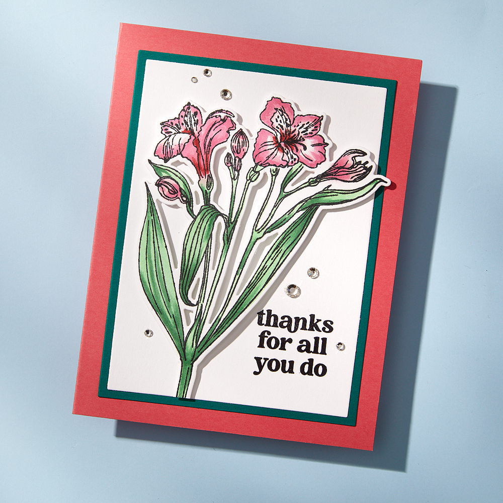 Heartfelt blooms Etched Dies for Coordinating Stamp Set By Simon Hurley
