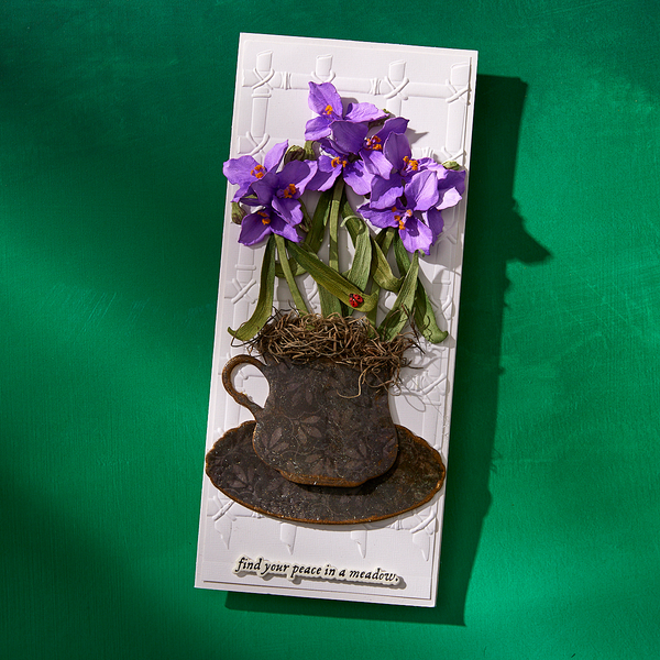 Through the Meadow Die Bundle by Susan Tierney-Cockburn
