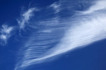 [DEV] AIR WHOLESALE