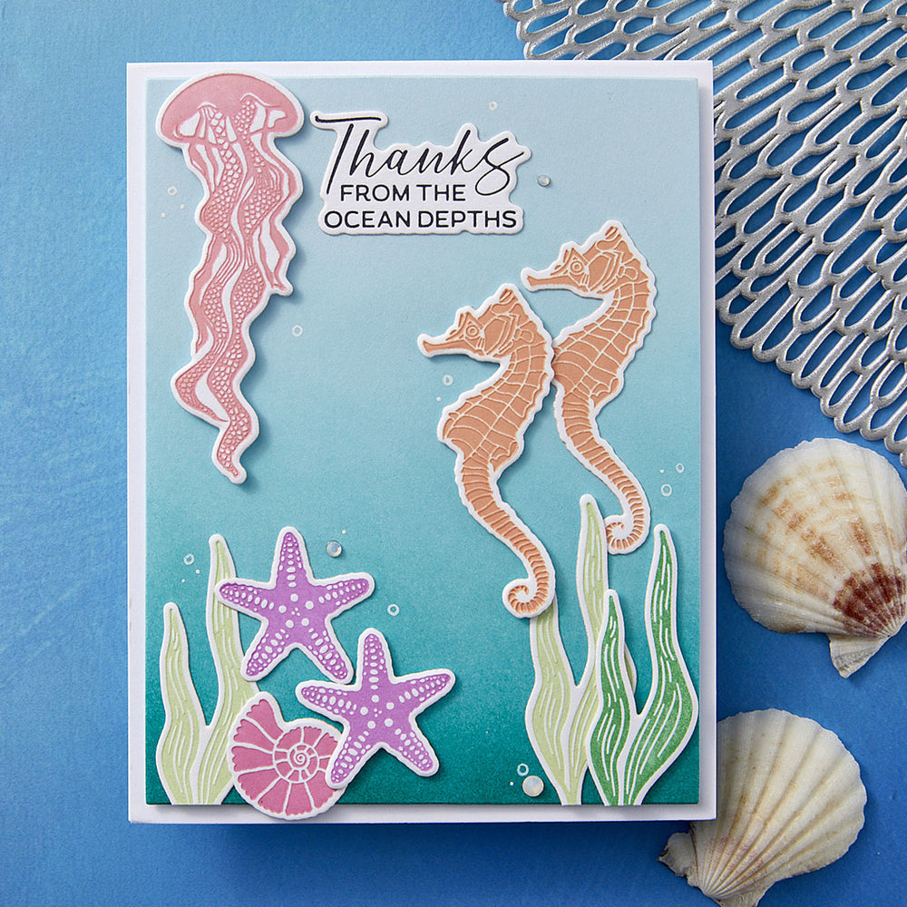Sea Friends Press Plate & Die Set - BetterPress Society June 2025