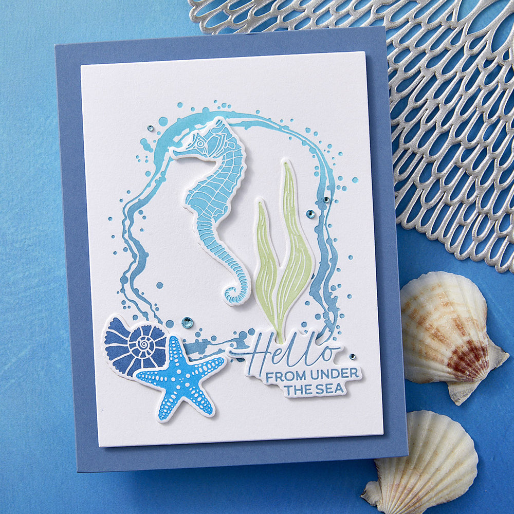 Sea Bubble Border Press Plate & Die Set - BetterPress Society June 2025 Add-On