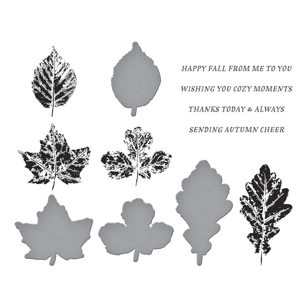 Autumn Cheer Press Plate & Die Set - BetterPress Society September 2025