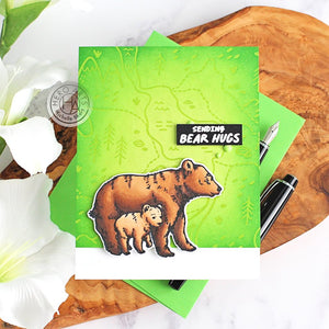 Hero Arts Bear Hugs Stamp & Die Set