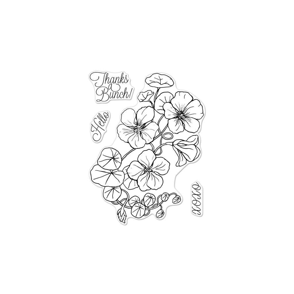 Hero Arts Hero Florals Nasturtium Clear Stamps