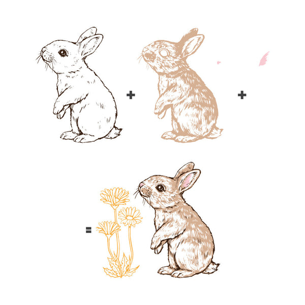 Hero Arts Color Layering Bunny Stamps & Dies Bundle