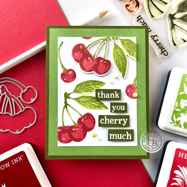 Hero Arts Color Layering Cherries Stamps & Dies Bundle