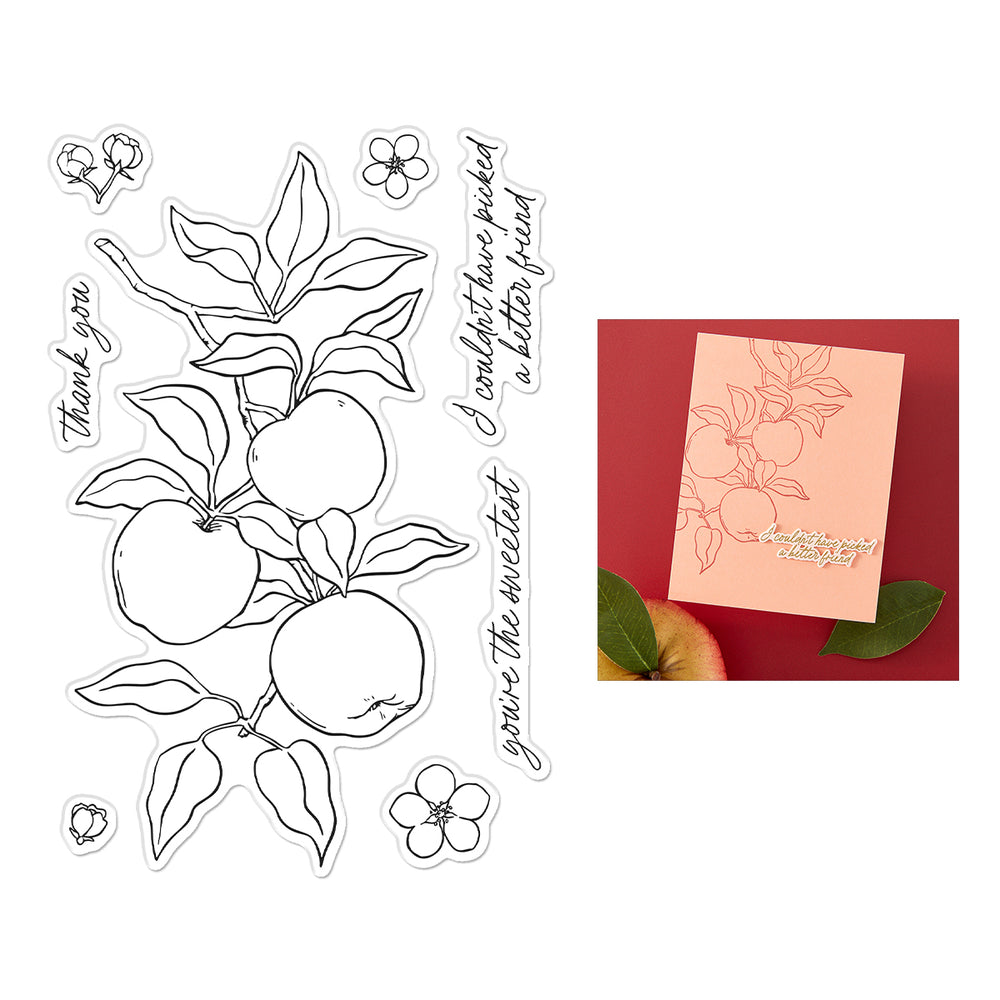 Hero Arts Apple Branch Clear Stamp Set