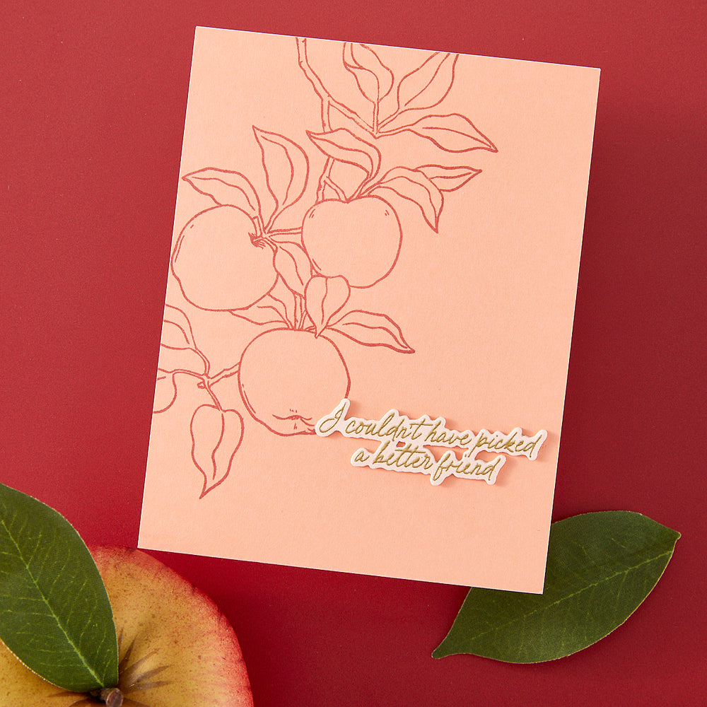 Hero Arts Apple Branch Clear Stamp Set