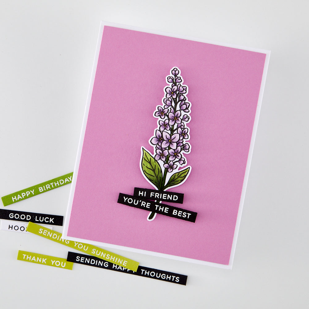 Hero Arts Everyday Sentiment Strips 2 Clear Stamp Set