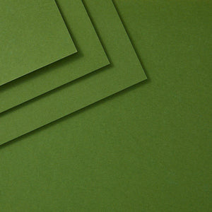 Fern ColorWheel Cardstock 8.5" x 11" - 10 Sheets