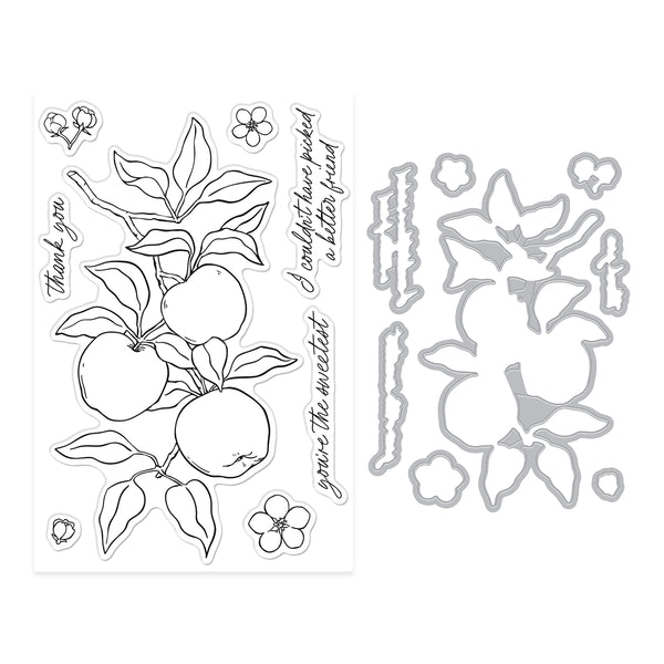 Hero Arts Apple Branch Stamp & Cut Set