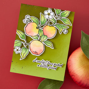 Hero Arts Apple Branch Stamp & Cut Set