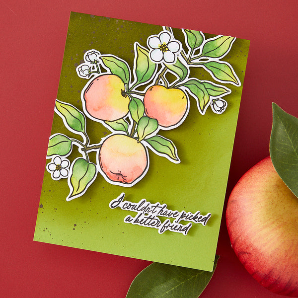Hero Arts Apple Branch Stamp & Cut Set