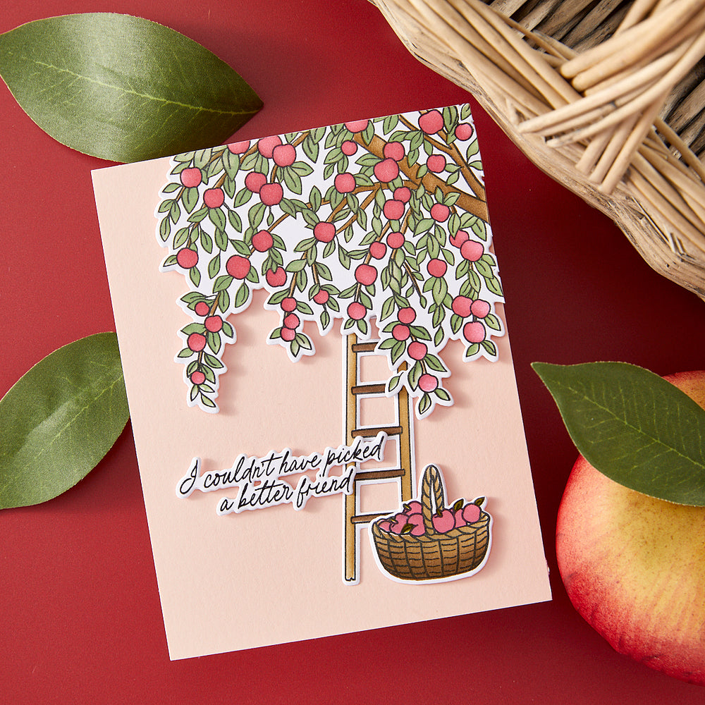 Hero Arts Apple Branch Clear Stamp Set