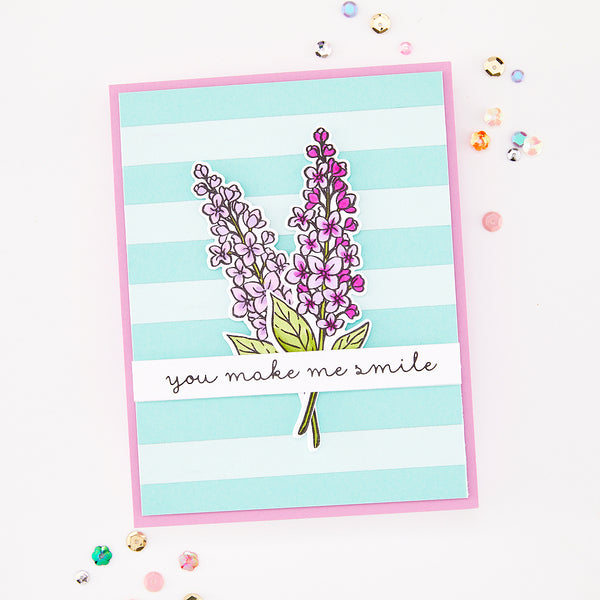 Hero Arts Sentiment Strips XL Die