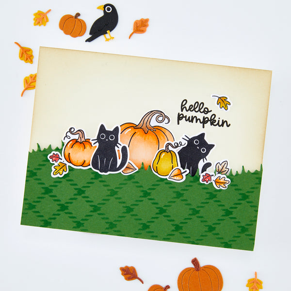 Hide and Peek Stamp Set