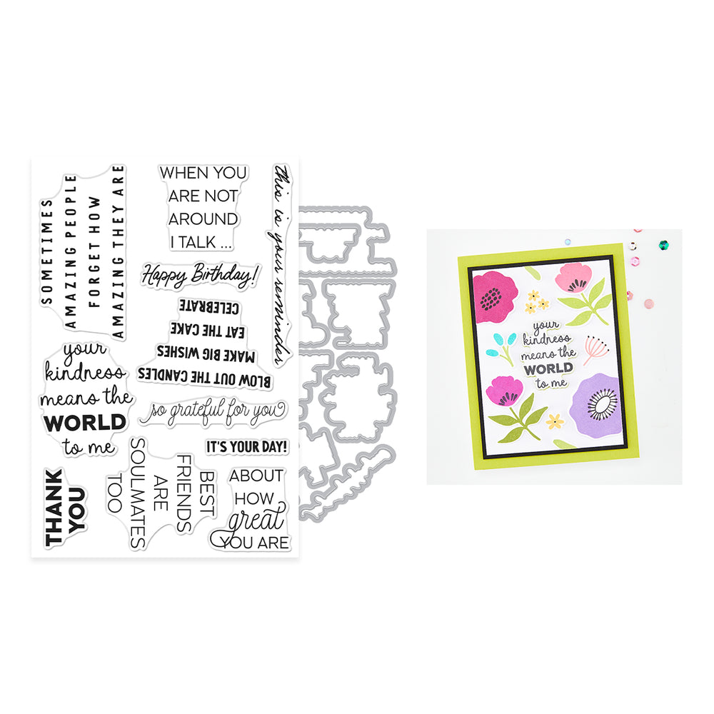 Hero Arts Say It Inside & Out Stamp & Cut