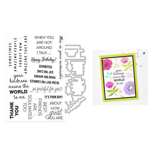 Hero Arts Say It Inside & Out Stamp & Cut