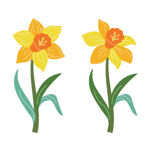 Hero Arts Daffodil Fancy Dies