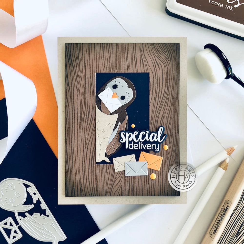 Hero Arts Peeking Owl Fancy Dies