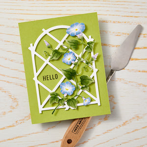 Hero Arts Trellis Window Die