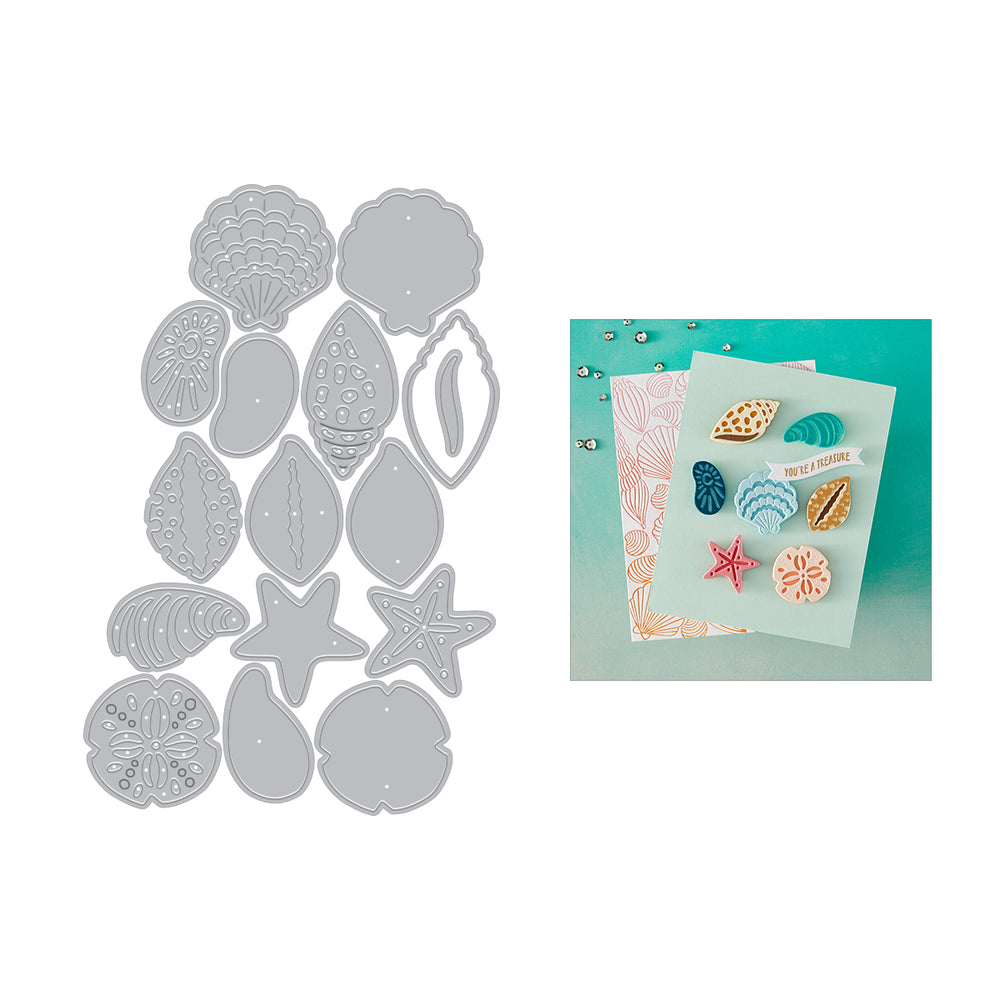 Hero Arts Sophisticated Shells Etched Dies