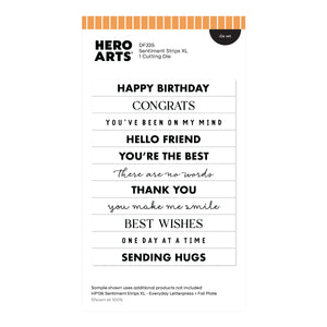 Hero Arts Sentiment Strips XL Die