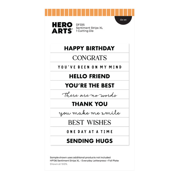 Hero Arts Sentiment Strips XL Die