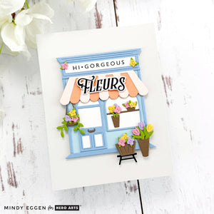 AIR Exclusive - Hero Arts Flower Delivery Die Set