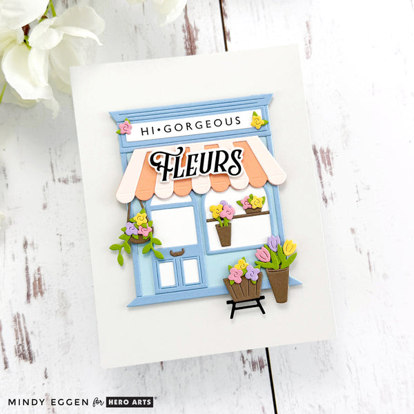 AIR Exclusive - Hero Arts Flower Delivery Die Set