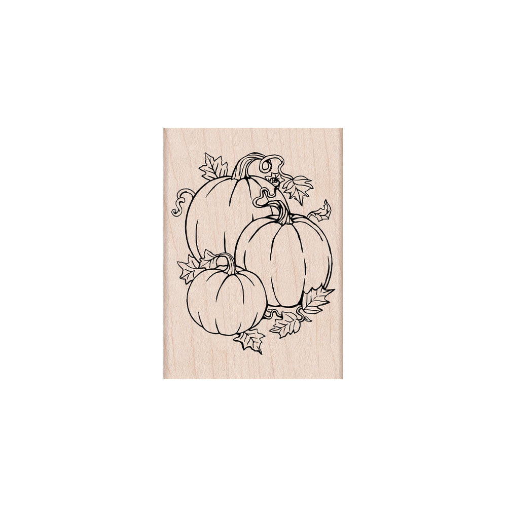Hero Arts Pumpkin Bunch Wood Stamps