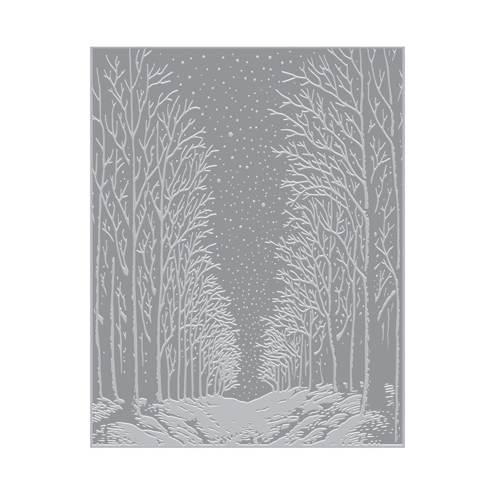 Hero Arts Snowy Night Letterpress + Foil Plate