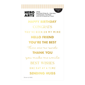 Hero Arts Sentiment Strips XL - Everyday Letterpress + Foil