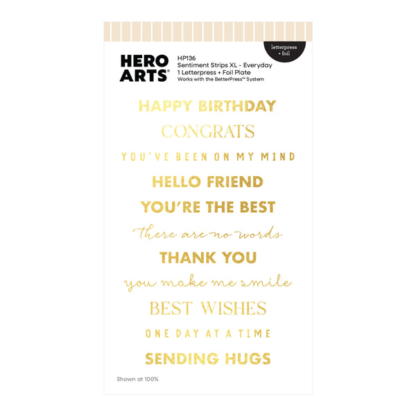 Hero Arts Sentiment Strips XL - Everyday Letterpress + Foil