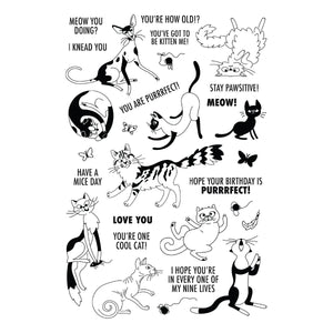 Purrfect Cats Stamp & Die Set by Simon Hurley