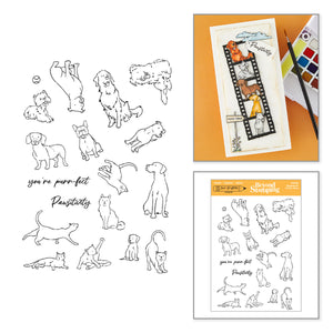 Beyond Stamping Pawsitivity #1 Clear Stamp Set by Josh Griffiths Studio
