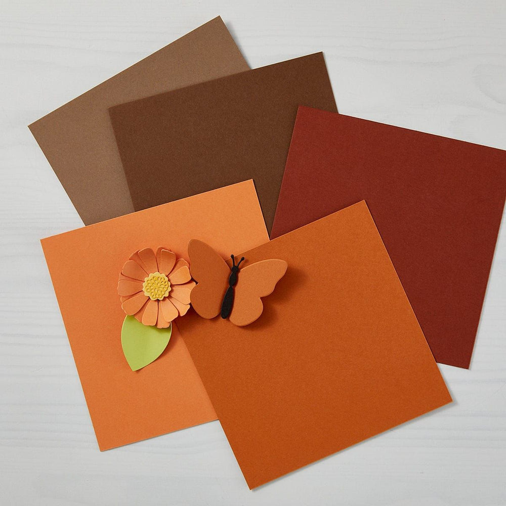 Acorn ColorWheel Cardstock 8.5" x 11" - 10 Sheets