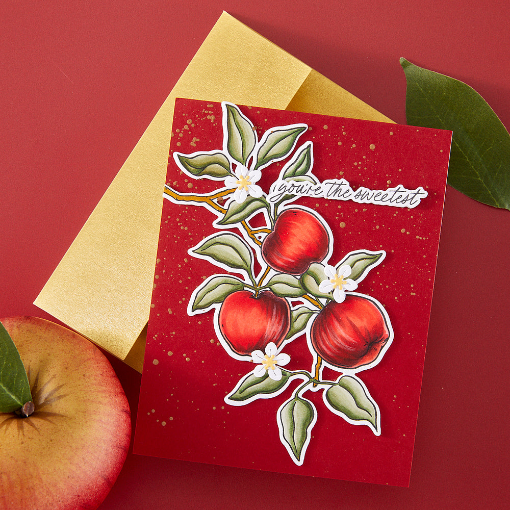 Hero Arts Apple Branch Stamp & Cut Set