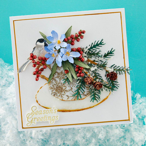 The Snow Garden Dies Bundle