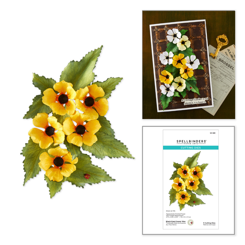 Black-Eyed Susan Vine Etched Dies by Susan Tierney-Cockburn