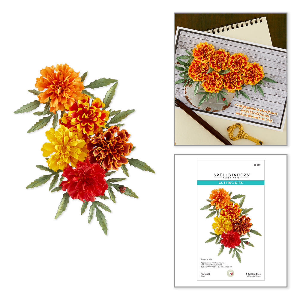 Marigold Etched Dies by Susan Tierney-Cockburn