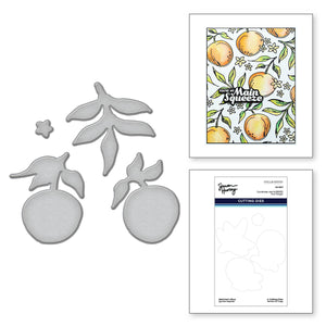 Sketched Citrus Etched Dies for Coordinating Stamp Set by Simon Hurley