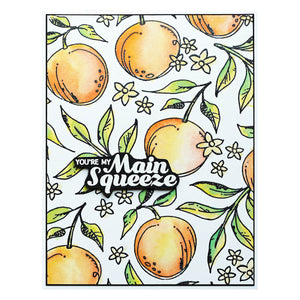 Sketched Citrus Etched Dies for Coordinating Stamp Set by Simon Hurley
