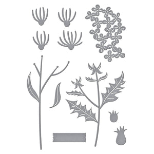 Field Notes Wildflowers Etched Dies