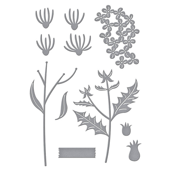 Field Notes Wildflowers Etched Dies