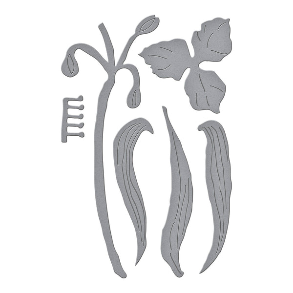 Spiderwort Etched Dies by Susan Tierney-Cockburn