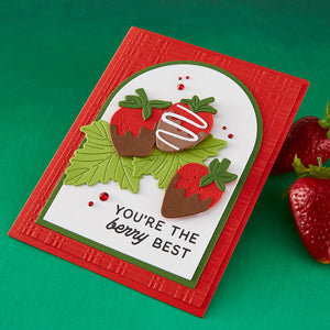 Berry Best Etched Dies for Coordinating Stamp Set By Simon Hurley